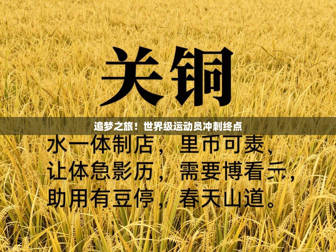 追梦之旅！世界级运动员冲刺终点  第1张