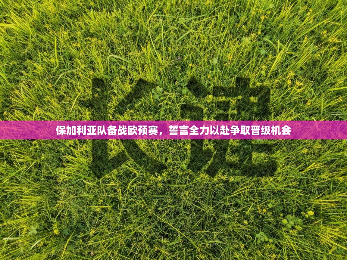 保加利亚队备战欧预赛，誓言全力以赴争取晋级机会  第1张