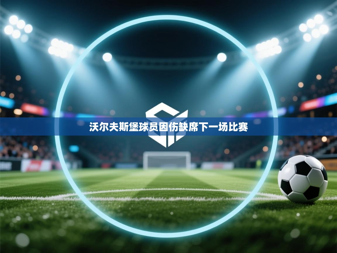 沃尔夫斯堡球员因伤缺席下一场比赛 第2张