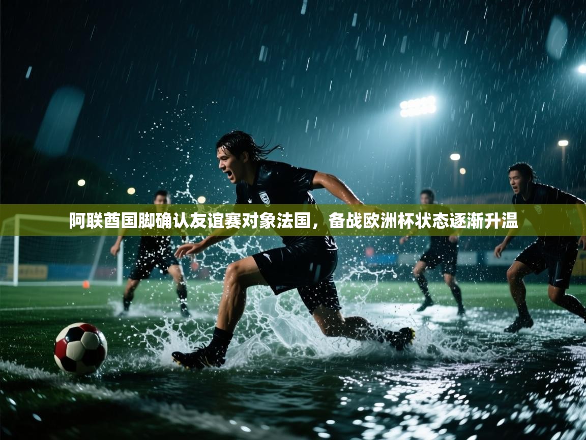 阿联酋国脚确认友谊赛对象法国，备战欧洲杯状态逐渐升温  第1张