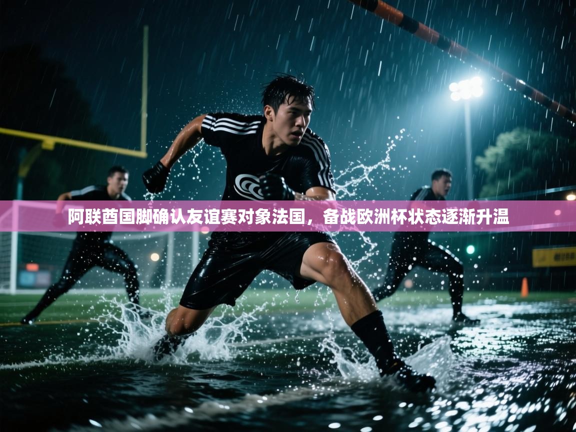 阿联酋国脚确认友谊赛对象法国，备战欧洲杯状态逐渐升温  第2张