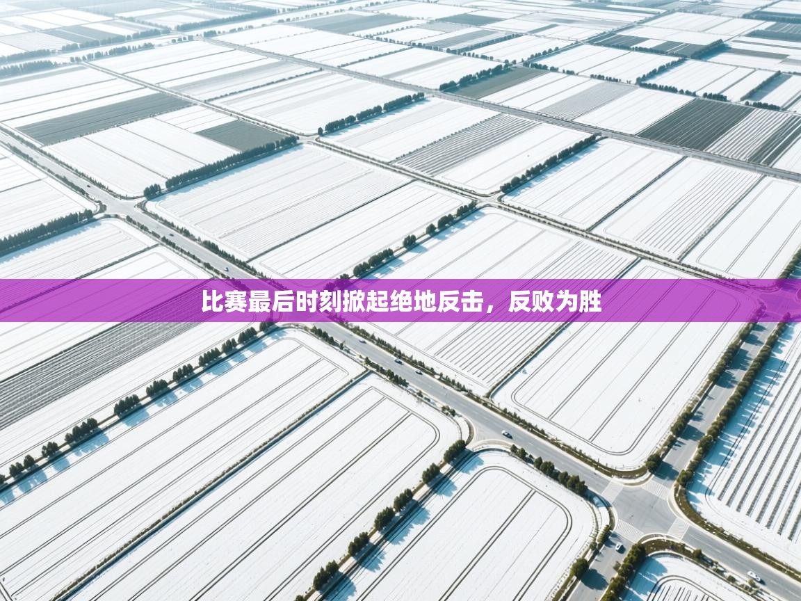 比赛最后时刻掀起绝地反击，反败为胜  第1张