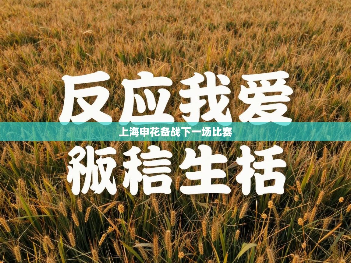 上海申花备战下一场比赛  第1张